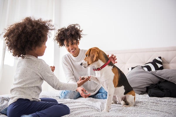 Family Playing with Dog