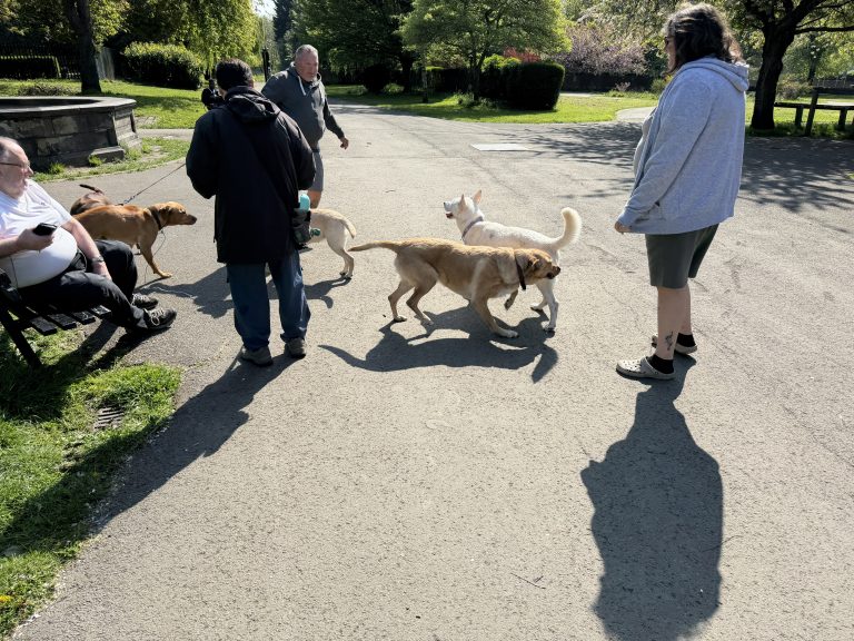 Armley Park/Leeds and Liverpool Canal - Leeds