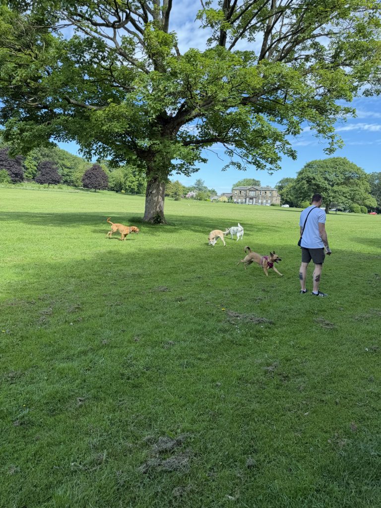 Farnley Hall Park - Leeds