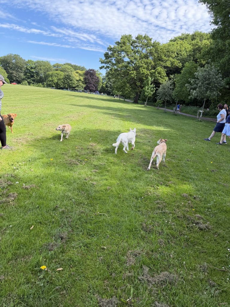 Farnley Hall Park - Leeds